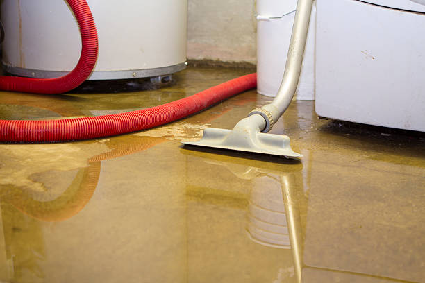 Best 24-hour water damage restoration  in Wlow Springs, IL