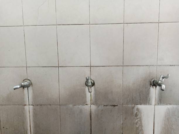 Best Water damage restoration near me  in Wlow Springs, IL