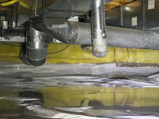 Best Water damage restoration experts  in Wlow Springs, IL