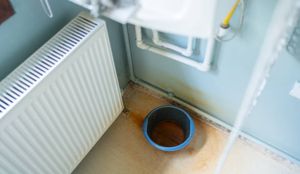 Best Flooded house restoration  in Wlow Springs, IL