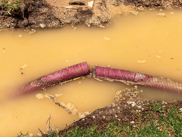 Best 24/7 water damage repair  in Wlow Springs, IL
